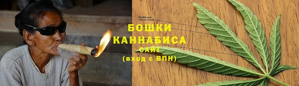 молекула духа Гусиноозёрск
