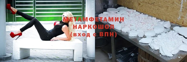 прущие грибы Дмитриев
