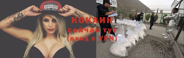 молекула духа Гусиноозёрск