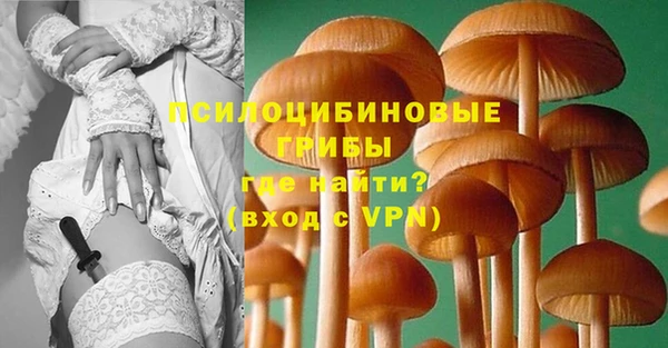 прущие грибы Дмитриев