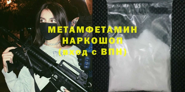 прущие грибы Дмитриев