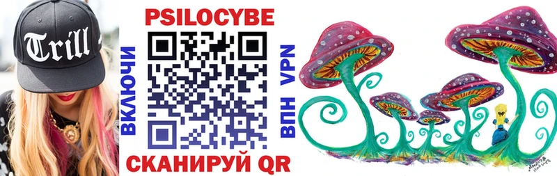 Галлюциногенные грибы Psilocybe  купить наркотики цена  Пересвет 